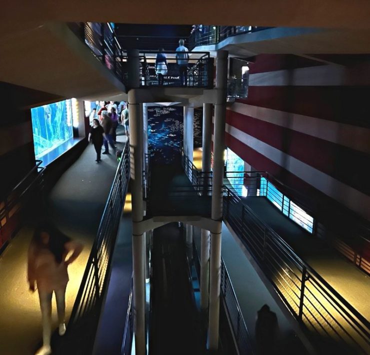 Tennessee Aquarium interior