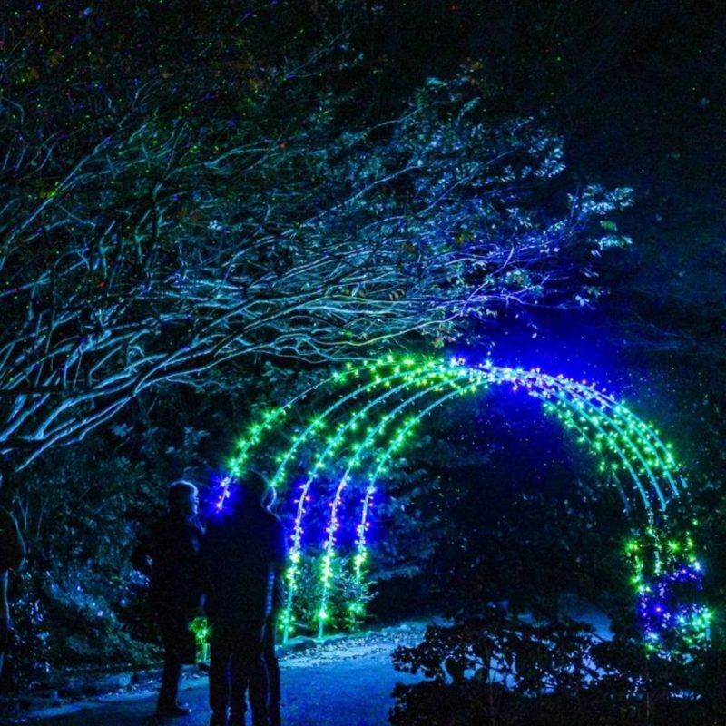 Two people prepare to walk through a series of green and blue lit arches at the Huntsville Botanical Garden's Galaxy of Lights. 