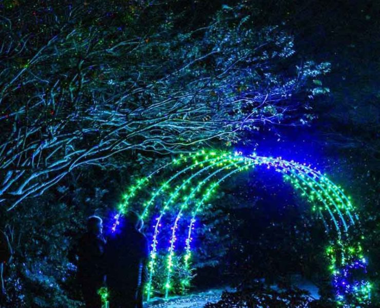 Galaxy of Lights at Huntsville Botanical Garden