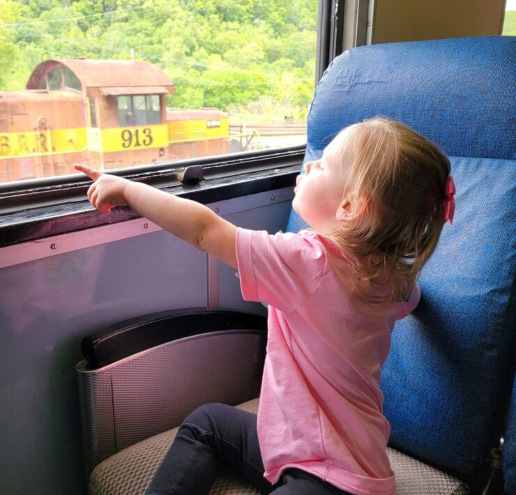 A little girl in pink excitedly points out the window of the train car she's in as they pass by another train engine.