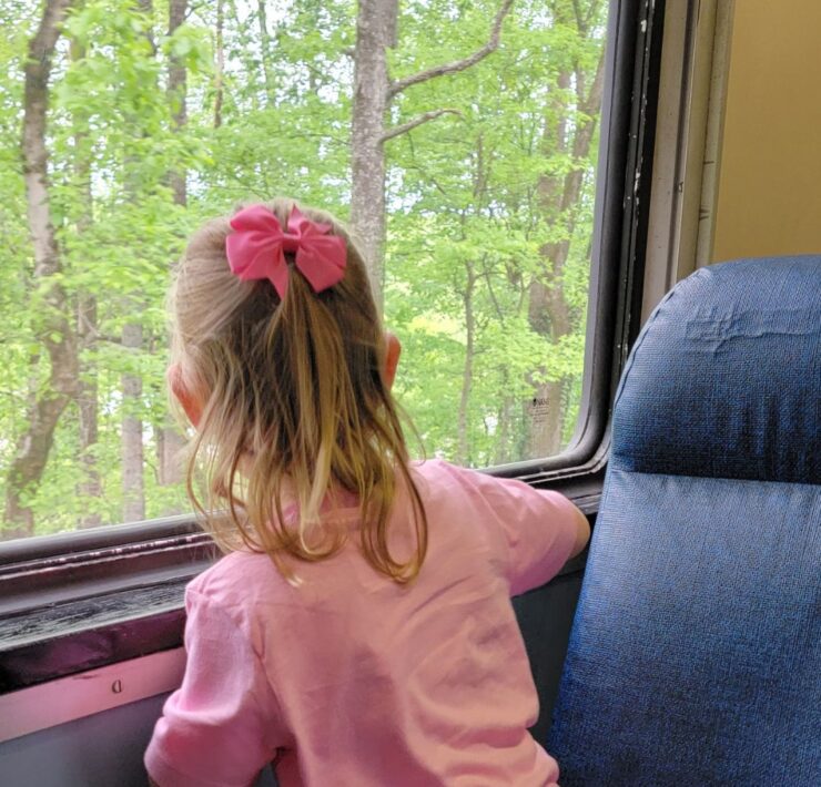 A blonde-haired toddler girl with a pink bow in her hair peers out the window of the train at the Tennessee Valley Railroad Museum.