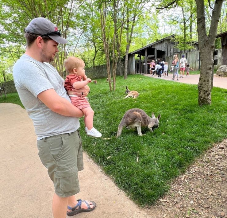 A man holds his son while a kangaroo grazes nearby.
