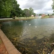 duck pond at Big Spring Park in Athens Alabama