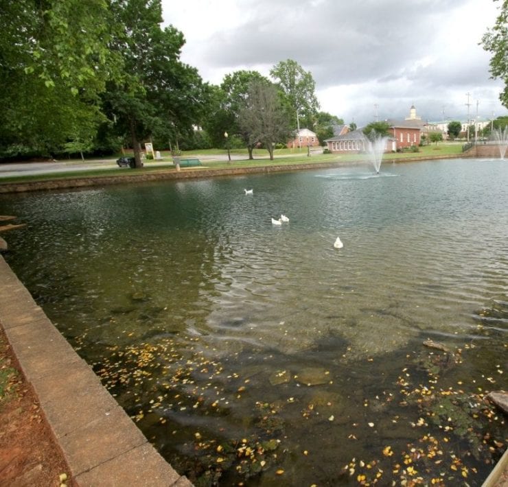 duck pond at Big Spring Park in Athens Alabama