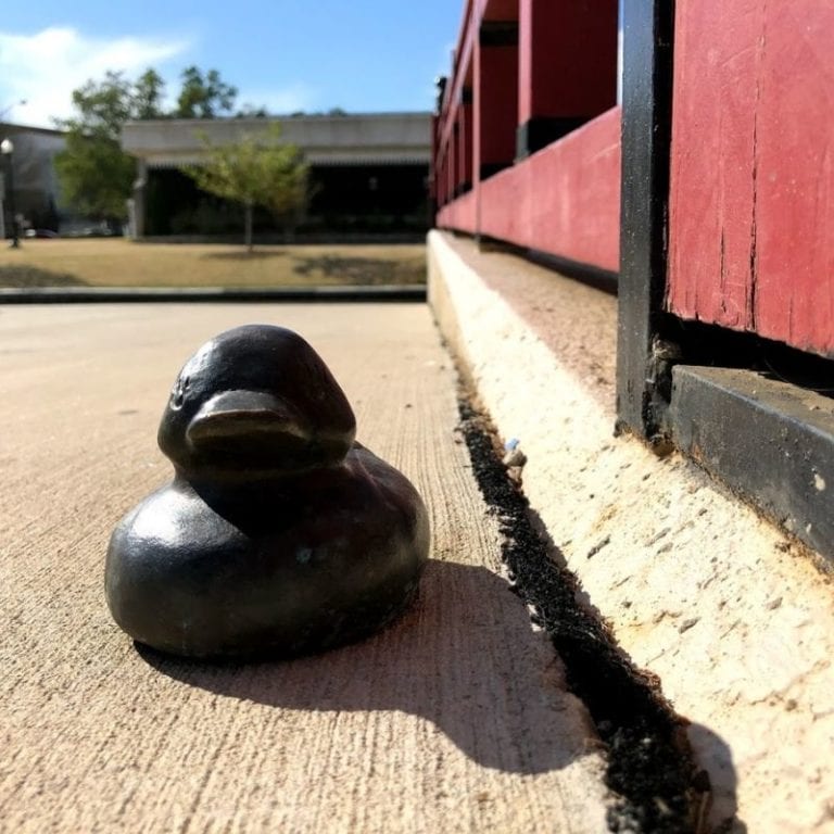 Go Duck Hunting in Huntsville! Rocket City Mom Huntsville events