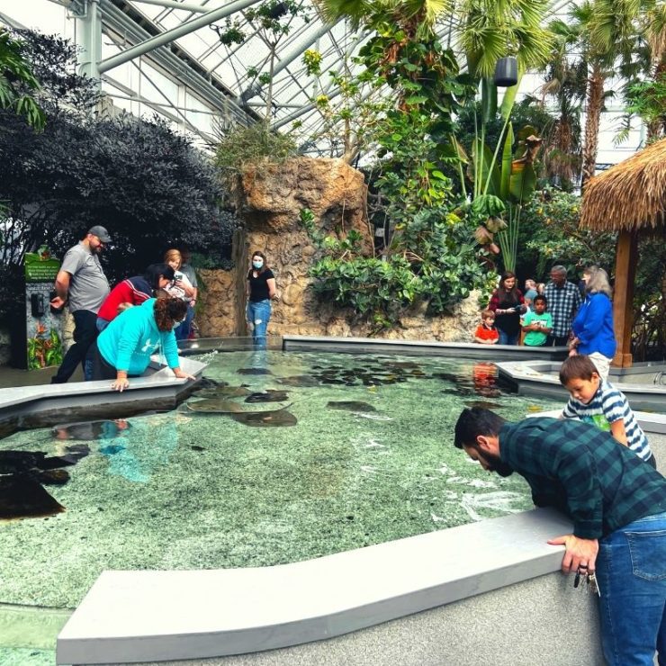 Tennessee Aquarium in Chattanooga is a swimmingly great road trip from