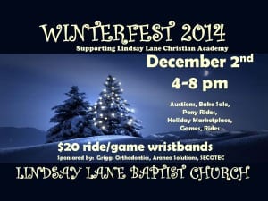 Lindsaylanewinterfest