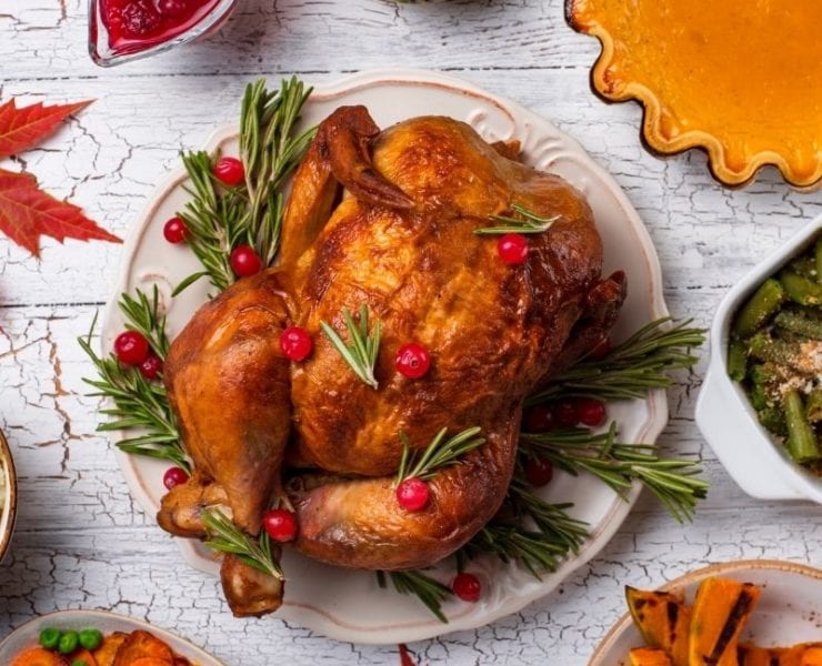 turkey thanksgiving dinner