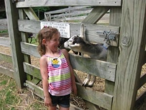 Burritt goats