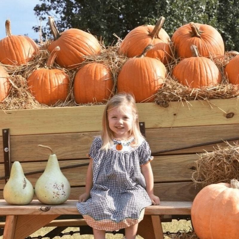 A little girl in a plaid dress with pumpkins on it sits on a bench surrounded by pumpkins and gourds.