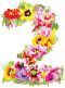 flowernumber2