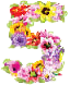 flowernumber5