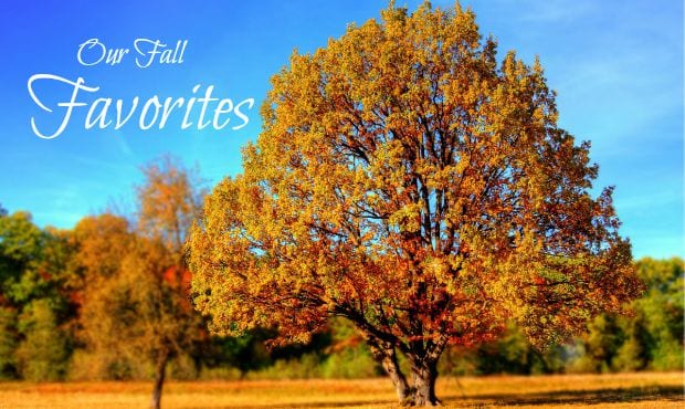 Fall Favorites from Local Families