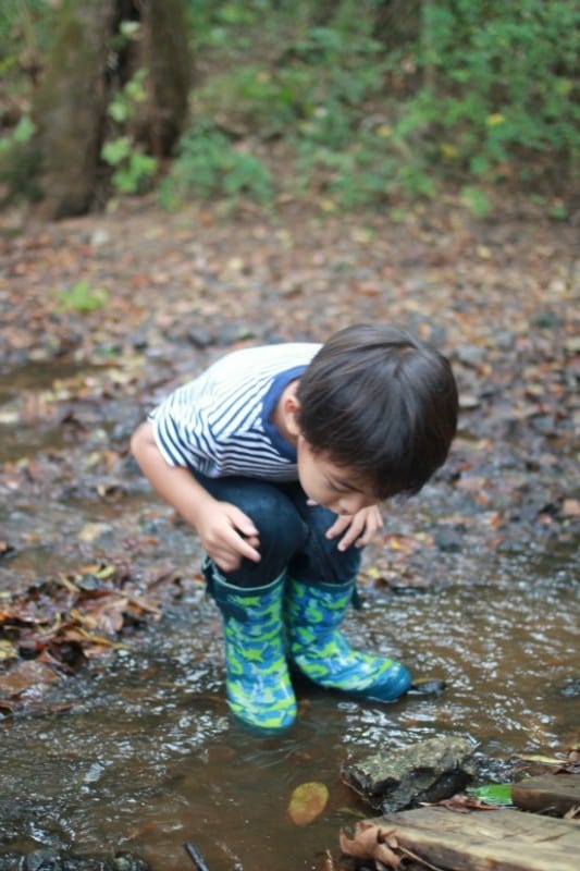 Huntsville Has a Forest School - Rocket City Mom | Huntsville events ...