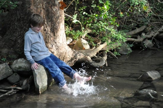 Land Trust hiking trails for kids 2