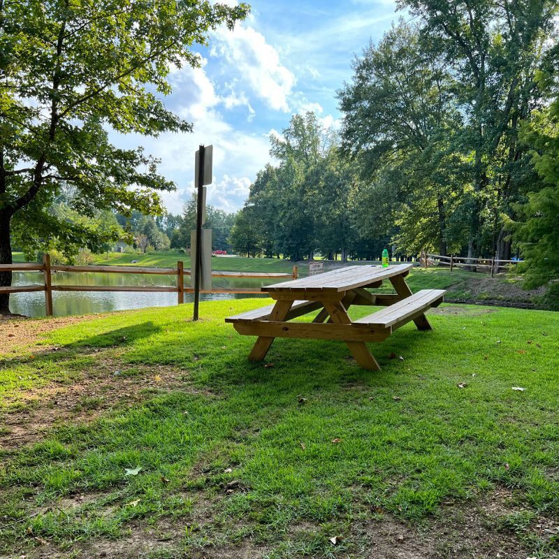A picnic table overlooks a small pond at Hays Nature Preserve in Hampton Cove.