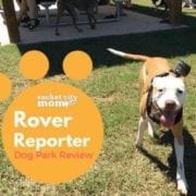 The Rocket City Mom Rover Reporter checked out the Hampton Cove Dog Park.