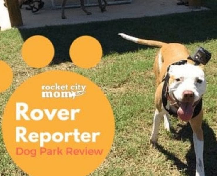 The Rocket City Mom Rover Reporter checked out the Hampton Cove Dog Park.