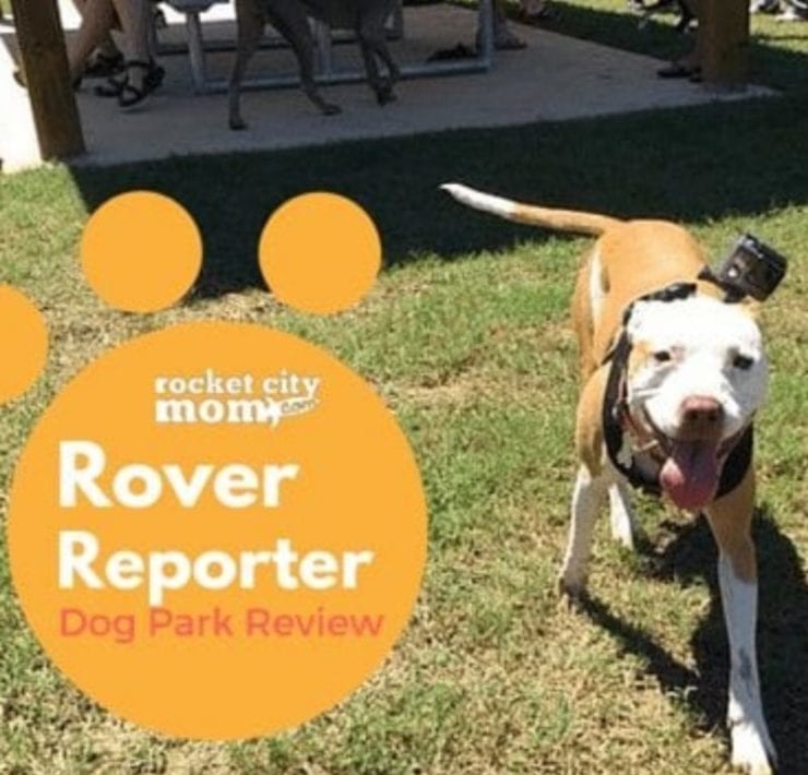 The Rocket City Mom Rover Reporter checked out the Hampton Cove Dog Park.