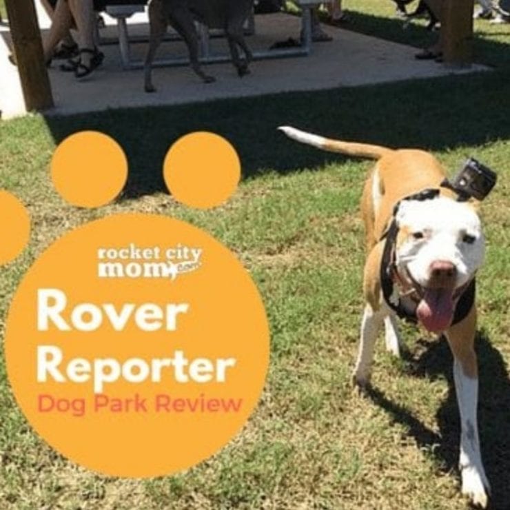 The Rocket City Mom Rover Reporter checked out the Hampton Cove Dog Park.