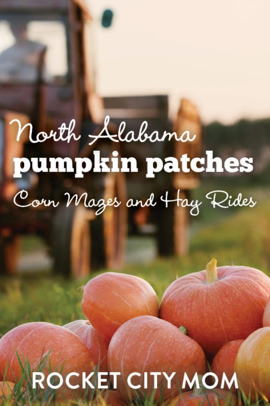 Fall Pumpkin Patches and Corn Mazes in Huntsville and North Alabama