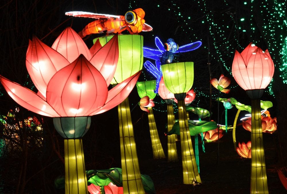 Kids Will Love "The Wild" Chinese Lantern Festival at Huntsville Botanical Garden Rocket City Mom | Huntsville events, activities, and resources for families.