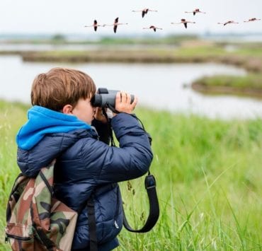 boy bird watching with binoculars in Huntsville