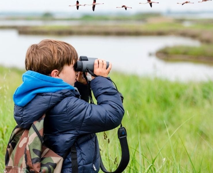 boy bird watching with binoculars in Huntsville