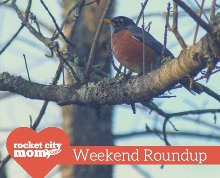 bird in a tree at hays nature preserve in huntsville
