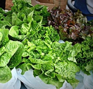 lettuce at huntsville farmers markets