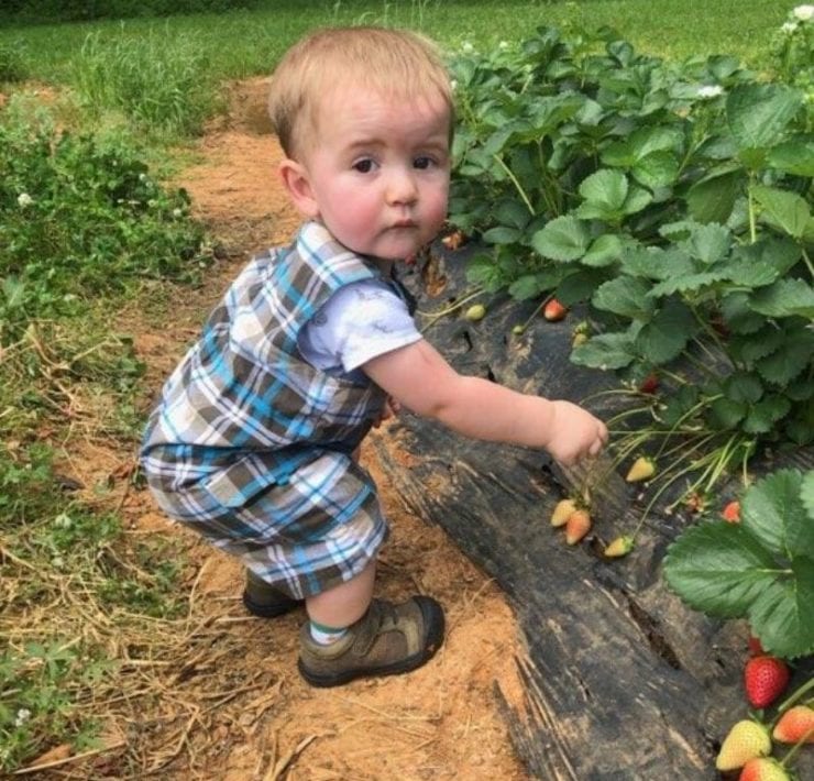 summer fun in madison alabama