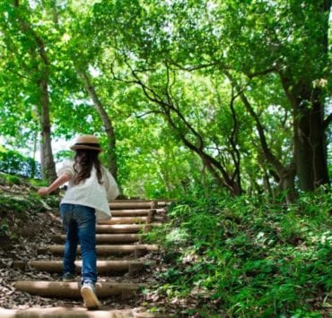 discovery on the mountain burritt