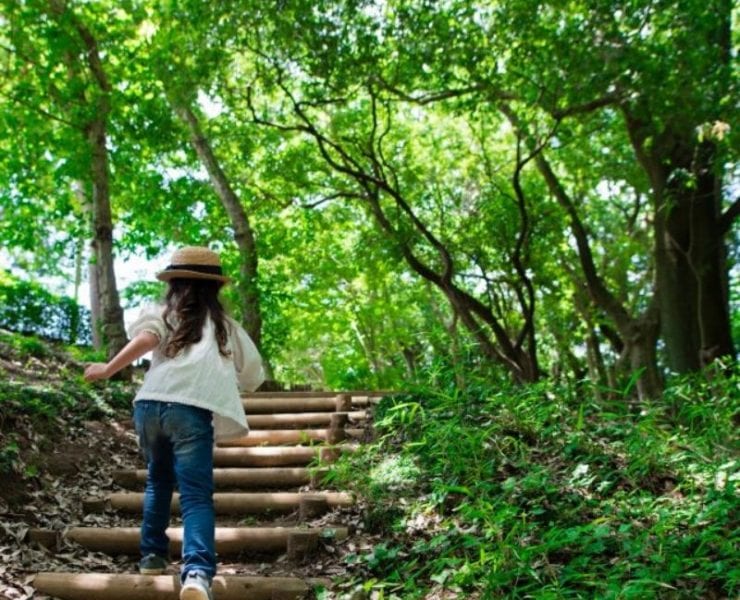 discovery on the mountain burritt