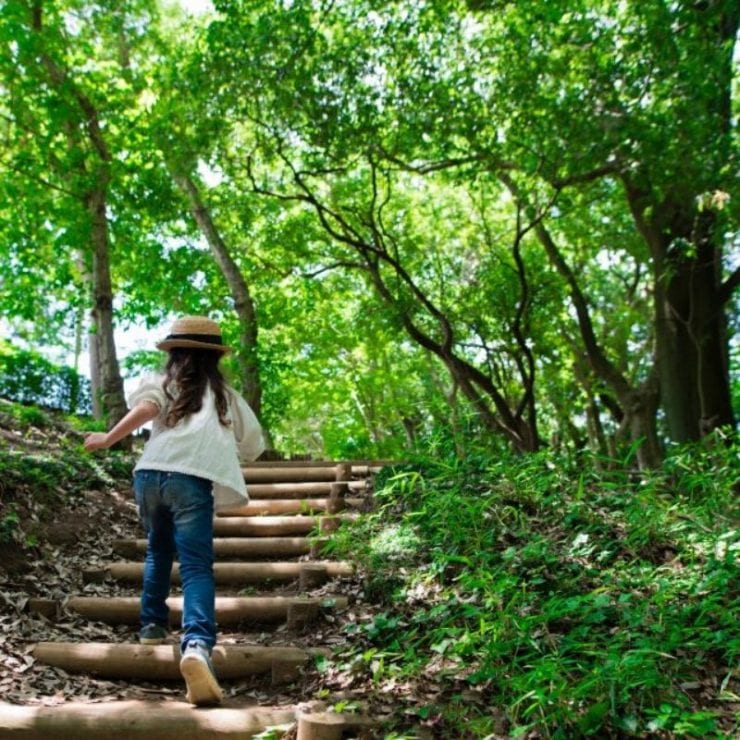 discovery on the mountain burritt