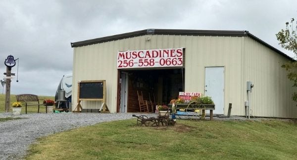 exterior building at GNH Muscadine Farm