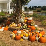 pumpkin displays at thr Huntsville botanical garden