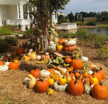 pumpkin displays at thr Huntsville botanical garden