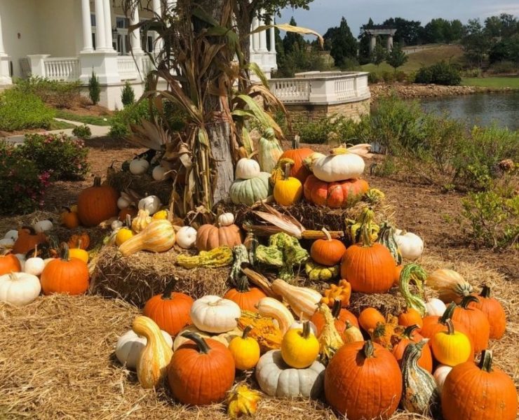 pumpkin displays at thr Huntsville botanical garden