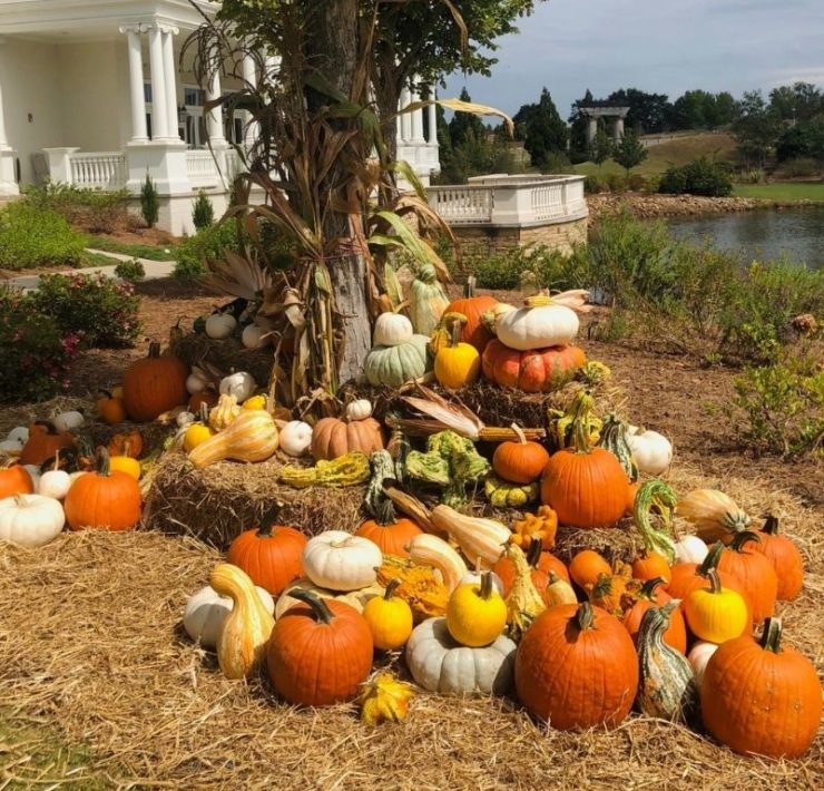 pumpkin displays at thr Huntsville botanical garden