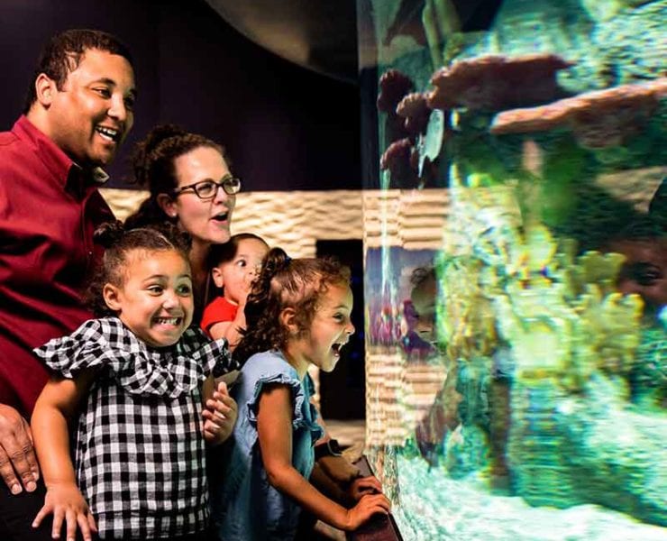 Cook Museum of Natural Science in Decatur, AL