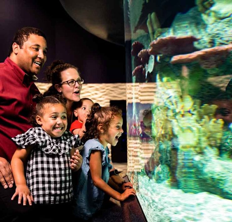 Cook Museum of Natural Science in Decatur, AL