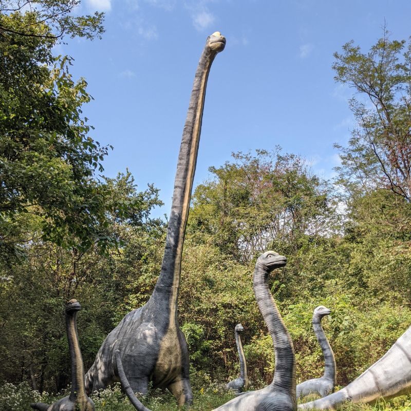 Blue brachiosauruses statues "walk" through shrubbery at Dinosaur World. 