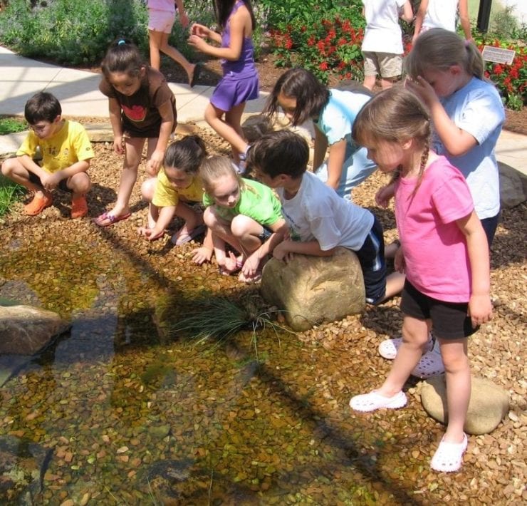 young children having a pond lesson at Huntsville Botanical Garden