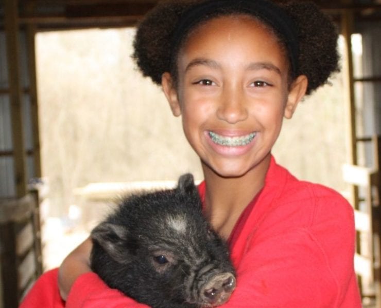 A Strickland family member cares for one of the farm's pigs.