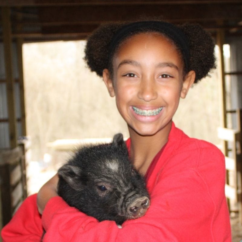 A Strickland family member cares for one of the farm's pigs.