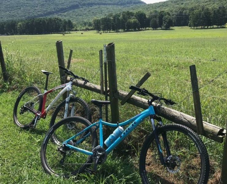 mountain bikes leaning against a fence