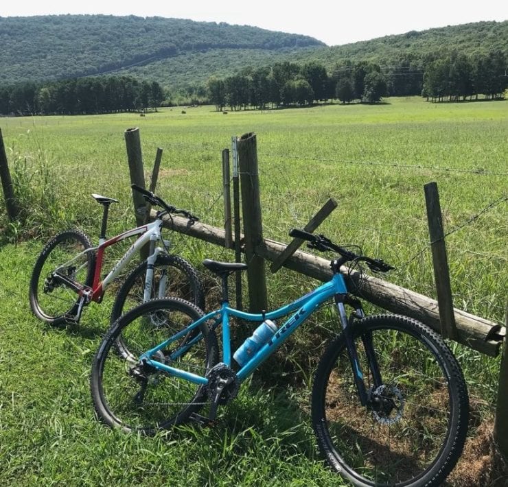 mountain bikes leaning against a fence