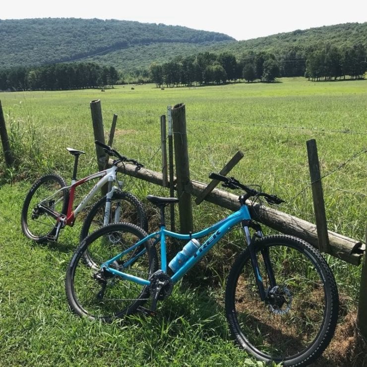 mountain bikes leaning against a fence