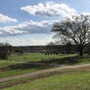 view from the top of Dublin Park in Madison Alabama