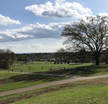 view from the top of Dublin Park in Madison Alabama